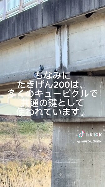 タキゲン200: キュービクル用共通鍵