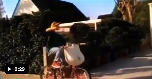 Paperboy commercial for NES - Video