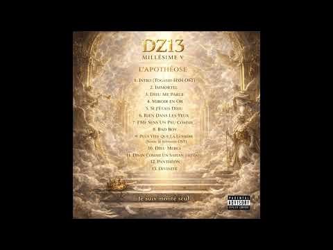 DZ13 - Divin comme un Saiyan ( Millésime V : L' Apothéose )