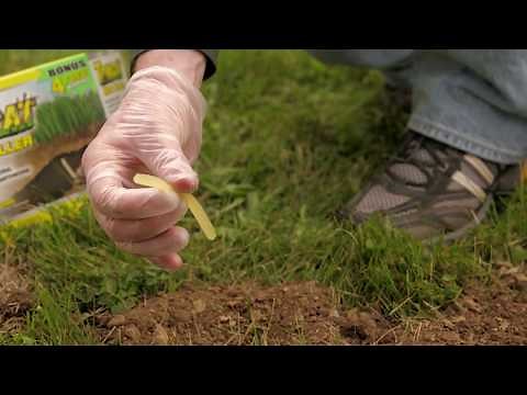 How to Get Rid of Moles Using Tomcat® Mole Killer Bait
