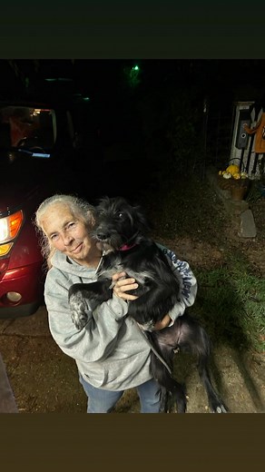 60 reactions · 4 comments | Hood's Pet Express LLC on Reels | Facebook