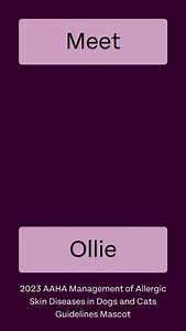 Does managing allergic dogs and cats make you want to scratch your head in frustration? 💆‍♀️ Fear not, AAHA's 2023 Management of Allergic Skin Diseases in Dogs and Cats Guidelines are here to guide you! Featuring comprehensive diagnosis & treatment plans for feline & canine allergies. Give Ollie and your patients itch-free days with these expert recommendations. Dig in now! https://hubs.li/Q02tsJ8h0 #AAHAGuidelines #VetMed #AllergyRelief | American Animal Hospital Association (AAHA)