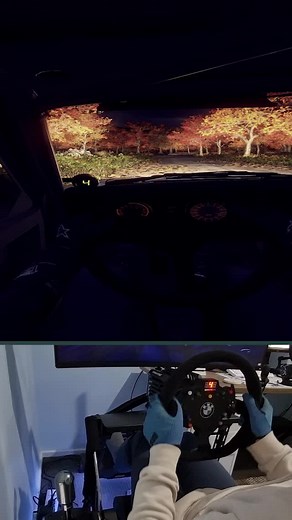 Dirt Rally 2.0 VR Setup Guide for Oculus Rift S