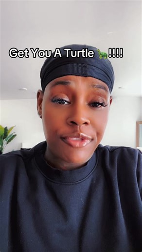 Get A Turtle: Your New Slow & Green Companion