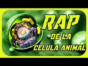 Learn the parts of an animal cell easily with a rap lesson | Animal Biology | CultuRap