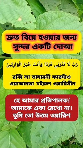 2.3M views · 22K reactions | The history of #photography began with...