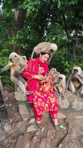 Pure love, trust, and affection! ❤️🐒A beautiful bond between humans and animals🌿🥰 #shorts #wildlife