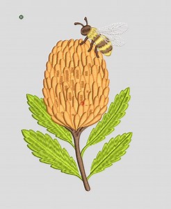 Bee and Banksia EMB Machine Embroidery File- Conversions Available - Etsy Australia