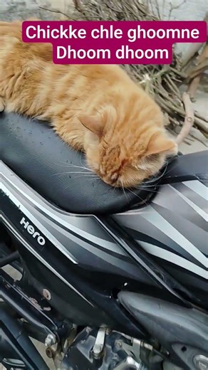 chikke chle ghoomne with bike 🚲🚳#dhoom #virel #virelreels #shahgulcraftmaker #ytshorts