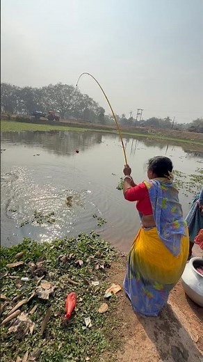 Beautiful lady fisherman catching rohu fish in village big pond #bass #fish #villagelife #fishing