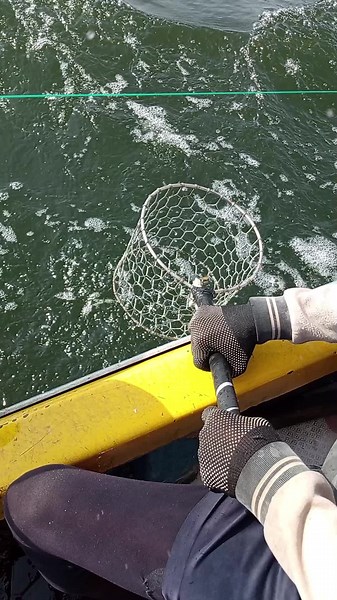 Videos de Camacho Morales (@camachomorales1) con “ESTA VIDA ME ENCANTA x REMIX x LEA IN THE MIX - Lea in the mix”