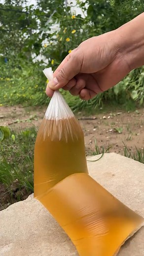 Crushing Crunchy & Soft Things by Car #crushingthings #crushingasmr #crushing #crunchy #crunchysounds #satisfyingvideo #sastisfying #crunchyasmr #asmr #asmrsounds | Magic Entertainment