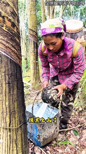 天然橡胶#科普 #奇闻异事