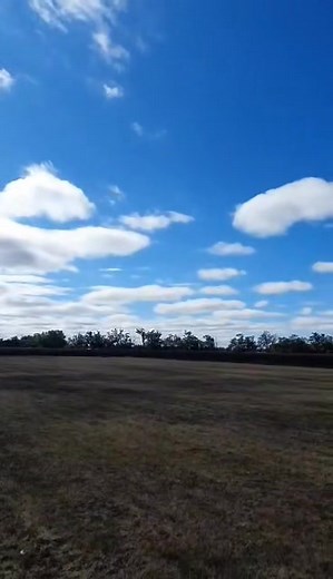 Some fun at the National Field! | AMAS | Facebook