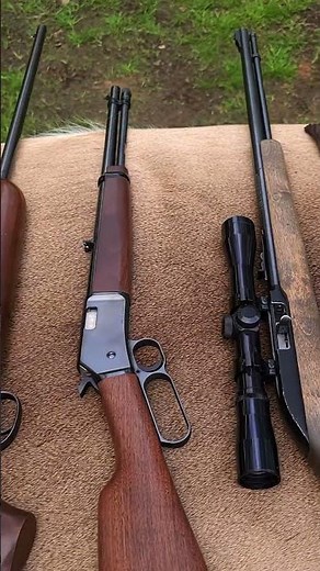 7 of The BEST 22 Rifles - Can You Name Them ?