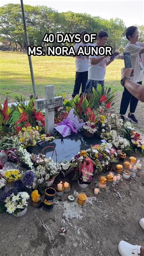 389K views · 8K reactions | 40 days of Ms. Superstar Nora Aunor #everyoneactive #everyoneactive #superstar #follower #everyone #NoraAunor | Manuel Jay Dator Almorado Jr. | Facebook