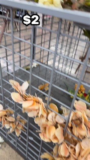 All flower $2. #walmartfinds #shopping #store #walmartfinds #clearancesale #walmartdeals #walmart #clearance #WalmartCreator | Find clearance with me
