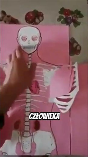 Unfold the Human Body: Amazing Layered Anatomy Model 🤯