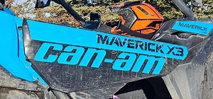 Can Am Maverick X3 Door Decal, Sticker. Set of 3 Decals per Door or Order Individual Stickers, the Package is for Both Left and Right Doors. - Etsy