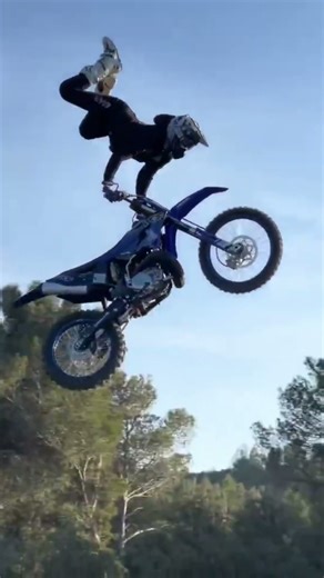 OTHERS JUST TRIED: 😏 MANS: Different level: 💀