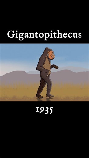 Gigantopithecus was thought to be our ancestor #extinctanimals