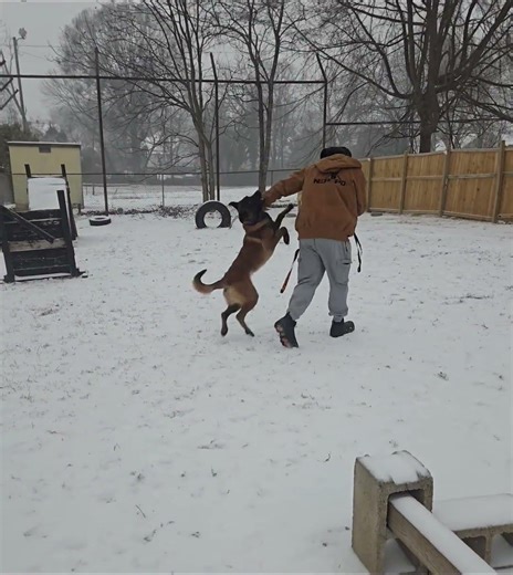 Perfect Time To Practicing Prancing