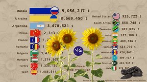 Countries that Produce the Most Sunflower Seeds in the World. Source: FAO. | VGraphs