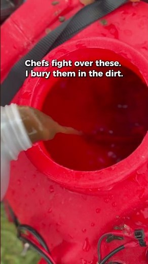Why I bury truffles in the ground on purpose