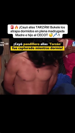 🚨🔥 ¡Cayó alias TARZÁN! Bukele los atrapa dormidos en plena madrugada Madre e hijo al CECOT 😴💤-1