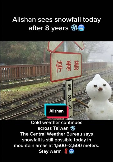 Alishan Sees Snowfall After 8 Years: A Winter Wonder
