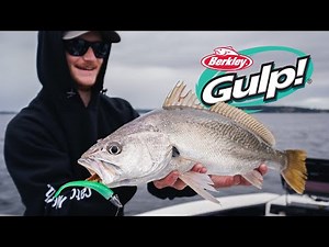 Berkley Gulp! | New Soft Bait Range