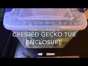 HOW TO MAKE A CRESTED GECKO TUB ENCLOSURE | Easy DIY Reptile Enclosure