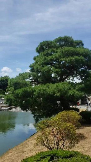 京都平等院凤凰堂 日式庭院提现的淋漓尽致