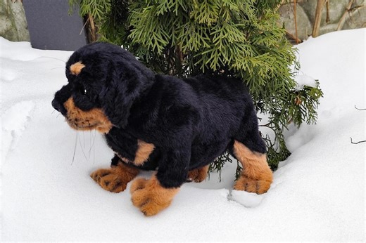 Handmade Realistic Rottweiler Puppy Plush Toy, Posable Sculpture (30cm) - Etsy