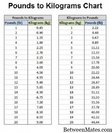 LB和LBF之间的差异 - 科学 2026