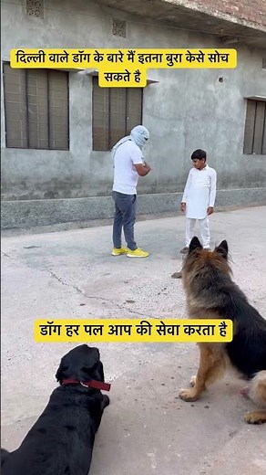 Loyal Dog Gives Full Security From Thieves & Kidnappers German Shepherd Protection #germanshepherd