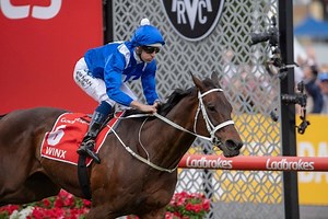 2022 Cox Plate: Race History