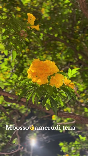 Mbosso: Muziki Mpya kutoka Tanzania