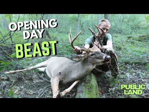 CHASING a BIG VELVET BUCK | Minnesota Public Land