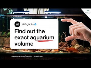 Accurate Aquarium Volume Calculator | Stop Guessing Your Tank Size