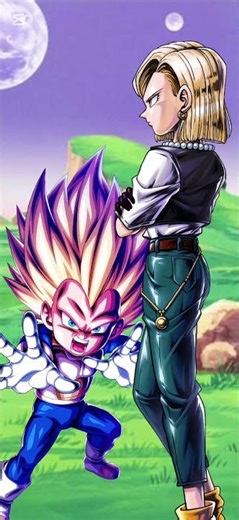 Which Dragon Ball character do you like more? Vegeta mini SSJ3 or Android 18