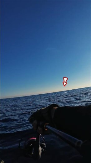 βρήκα κυνηγούς με το SUP! #bigfish #fish #ψάρεμα #ψάρι #lure #angler #fishing