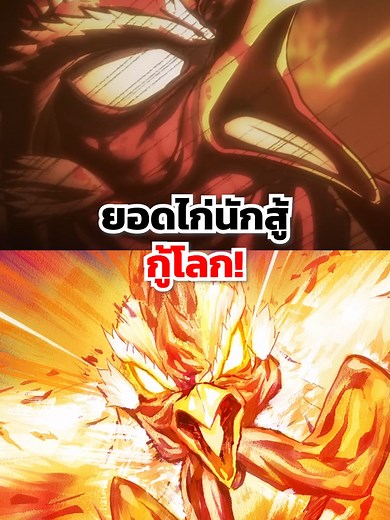 ยอดไก่นักสู้ กู้โลก อนิเมะต่อสู้