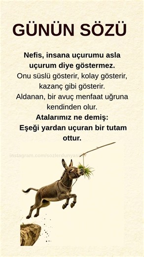 Nefis, insana uçurumu asla uçurum diye.. anlamlı güzel kısa özlü sözler atasözleri #anlamlısözler