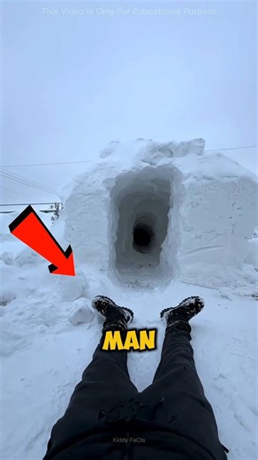 A Hidden Secret Beneath the Snow 😱