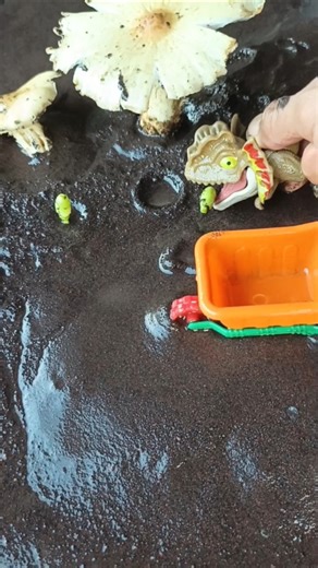 catching snakehead fish on live bait, northern - SNAKEHEAD FISH #shorts #fish #channa #viralvideo