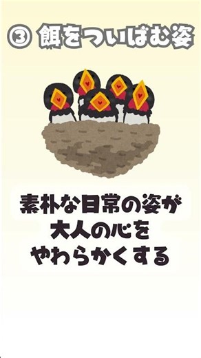 💛【癒し】小鳥の声、聞こえますか？ #これから雑学 #動物の癒し #小鳥 #自然の癒し #心軽く #雑学