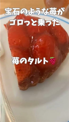 小伝馬町カストール 苺タルト🍓 #カフェ巡り #カフェ #cafe #いちご #いちごスイーツ #shorts