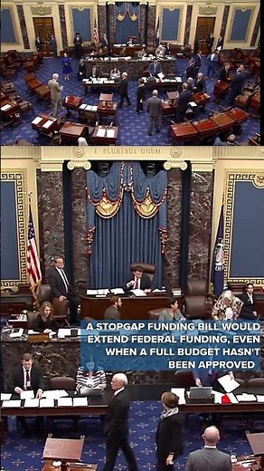 2025 shutdown update: Dems stopgap fails