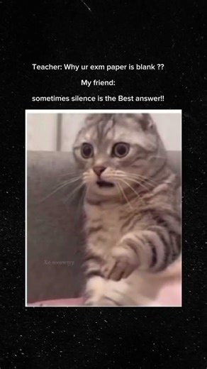 Blank Exam Paper 😂🤪 #funny #comedyshorts #memesdaily #exams #matric #10thclass #collegelifememes